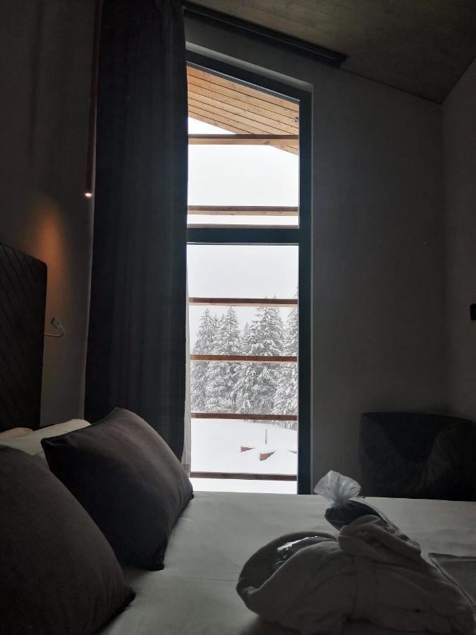 Aethos Monterosa Hotell Champoluc Eksteriør bilde